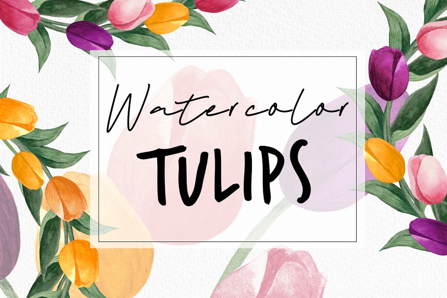 Download Watercolor tulips clipart bundle