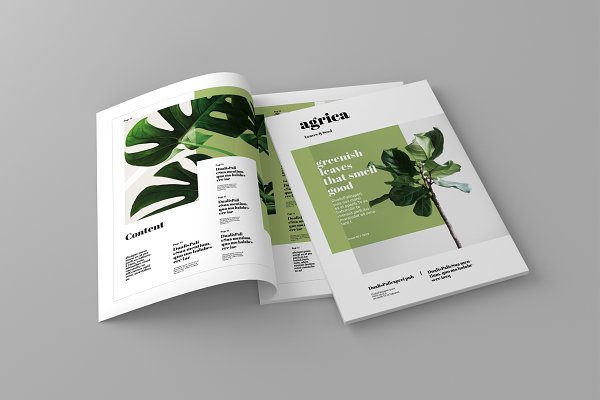 Download Agrica - Magazine Template