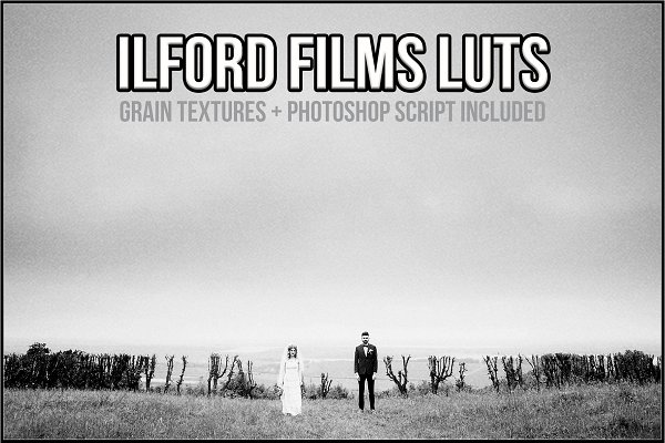 Download Ilford Films LUTs
