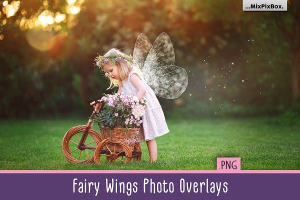 Download Fairy Wings Overlays