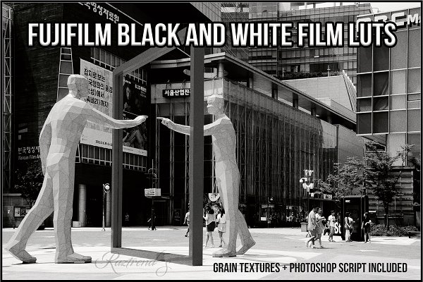 Download Fujifilm Black and White Film LUTs
