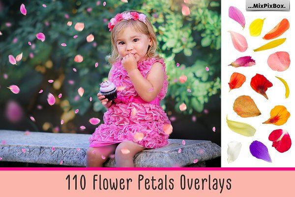 Download Flower Petals Photo Overlays