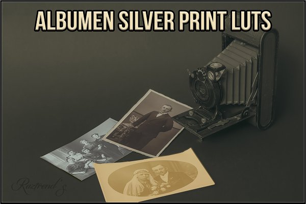 Download Albumen Silver Print LUTs