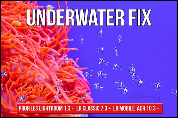 Download Underwater Fix Profiles for LR & ACR