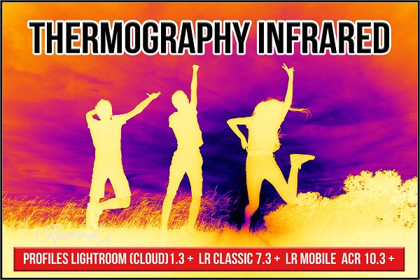 Download Thermography Infrared Profiles