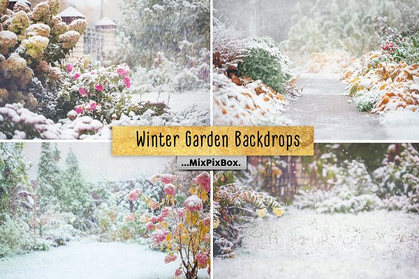 Download Winter Garden Backdrops