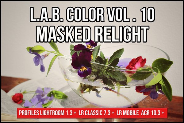 Download LAB Color Vol. 10 Masked Relight