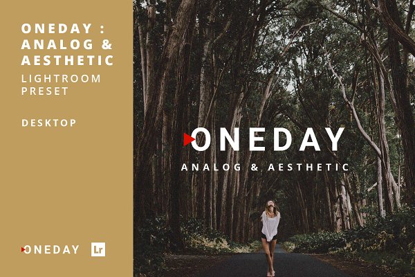 Download Oneday: Analog & Aesthetic Lr preset