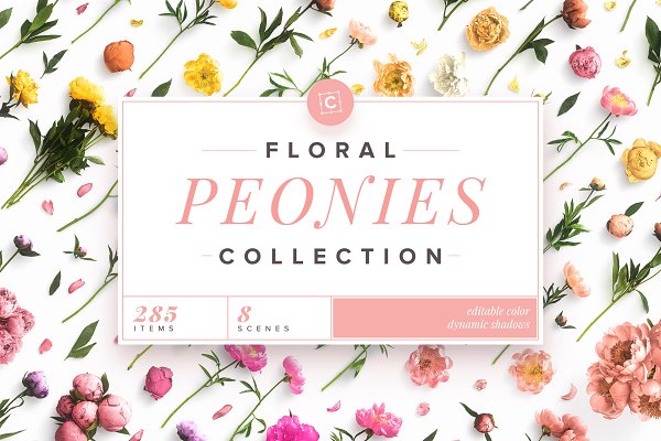 Download Floral Peonies Collection