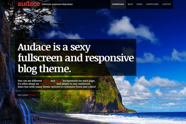 Download Audace – Responsive WordPress Theme