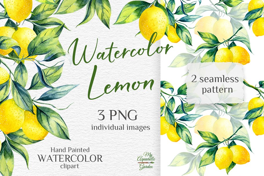 Download Watercolor lemon branch