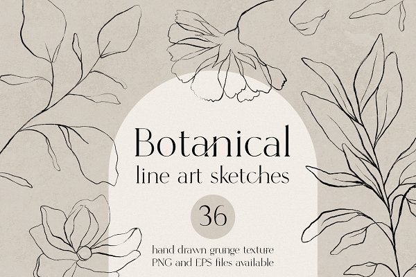 Download Botanical line art sketches