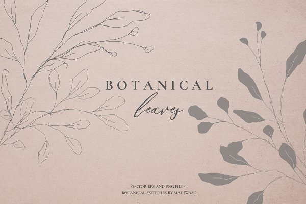 Download Botanical leaves - sketched florals