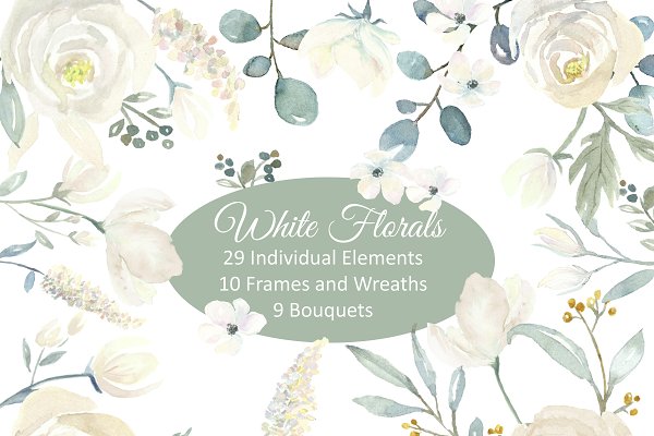 Download White Floral Watercolor Collection I