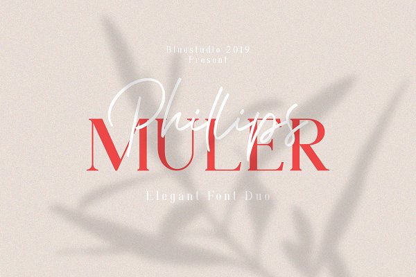 Download Phillips Muler // Elegant Font Duo