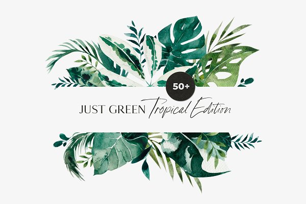 Download TROPICAL LEAVES greenery / foliage