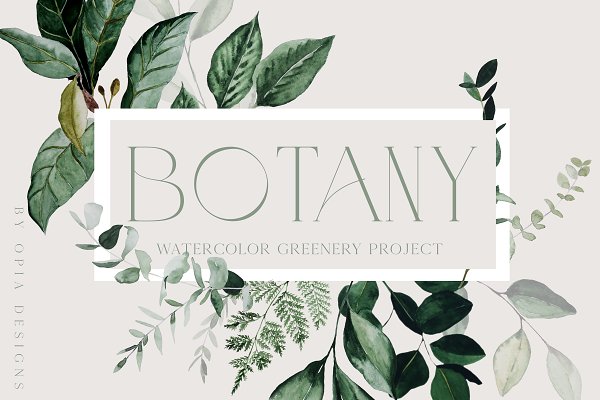 Download BOTANY - Greenery Collection
