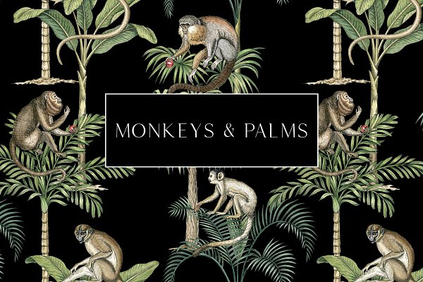 Download Monkeys and palms