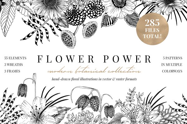 Download FLOWER POWER botanical illustrations