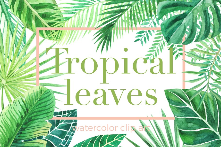 Download Tropical leaves. Watercolor clip art
