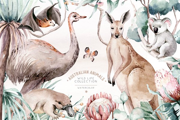 Download Australian animals watercolor set
