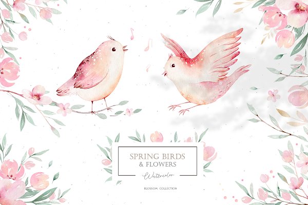 Download Watercolor spring birds & flowers