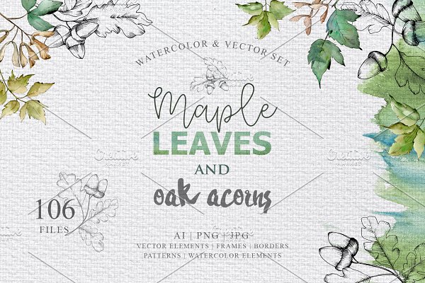 Download Maple leaves and oak acorns set