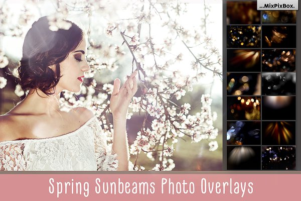 Download Spring Sunbeams Photo Overlays