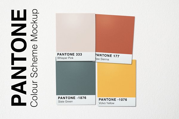 Download Pantone Colour Scheme Mockup