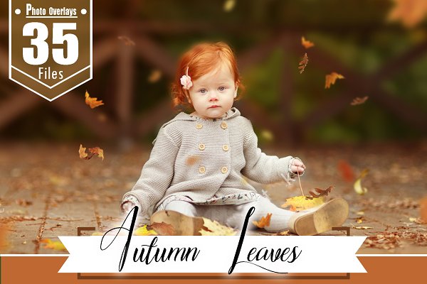 Download 35 Autumn leaves Photoshop overlays