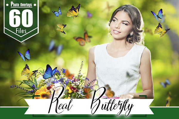 Download 60 Butterfly Overlays Photoshop