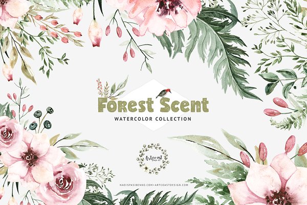 Download Watercolor Forest Scent