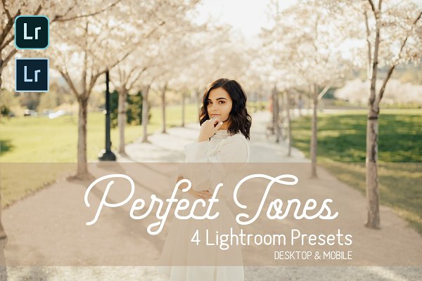 Download Perfect Tones Lightroom Presets