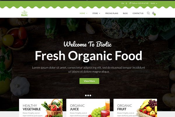 Download Biotic -Organic Food WordPress Theme