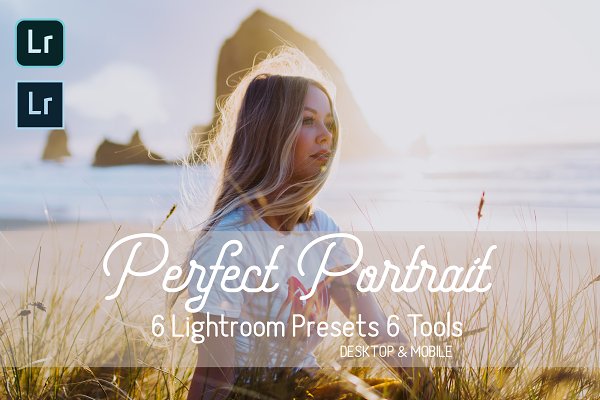 Download Perfect Portrait Lightroom Presets