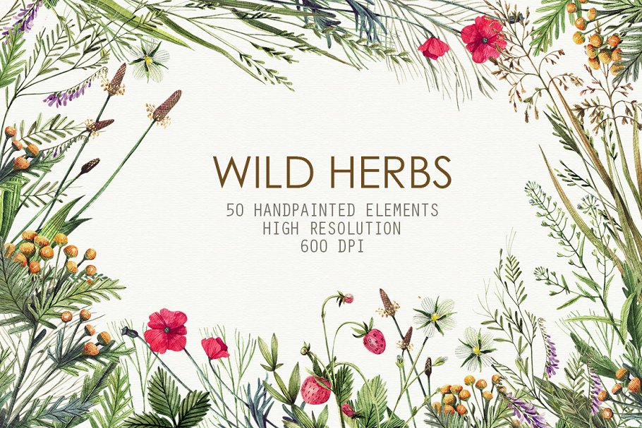 Download Wild Herbs