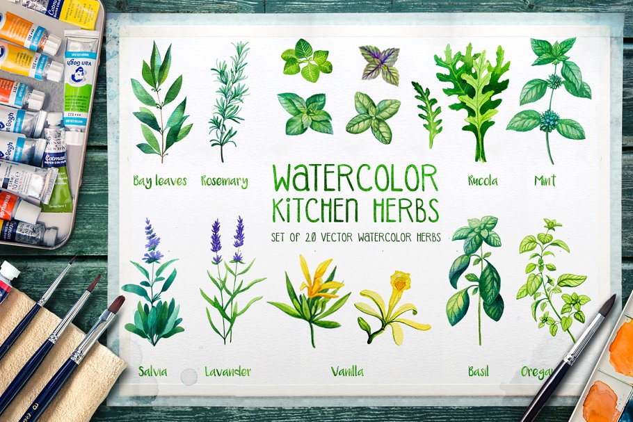 Download Watercolor Herbs