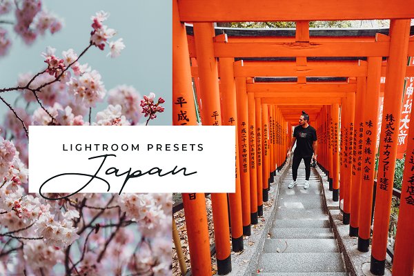 Download Japan Lightroom Presets