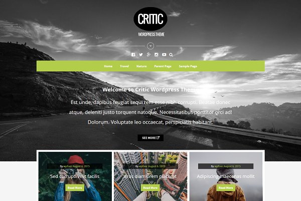 Download Critic - Responsive Blog WP Theme