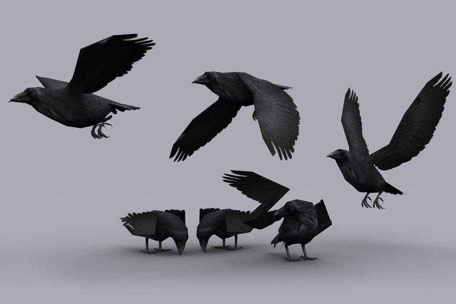 Download CROW fbx only