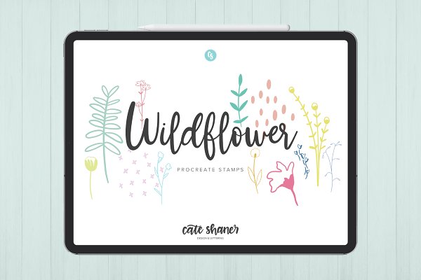 Download Wildflower Procreate Stamp Brushes