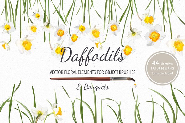 Download Vector object brushes. Daffodils