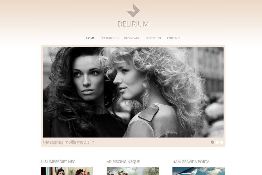 Download Delirium - Fashion Portfolio Theme