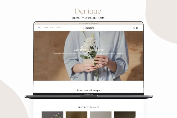 Download Denique - Minimalistic Shopify Theme
