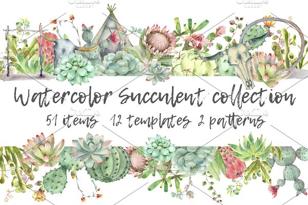 Download Succulent and Cactus collection