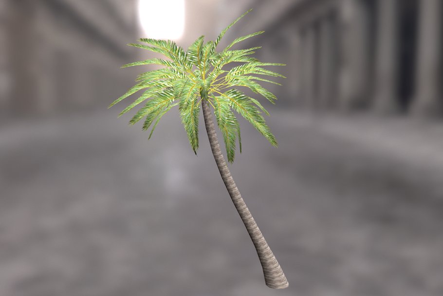 Download Palm_Tree