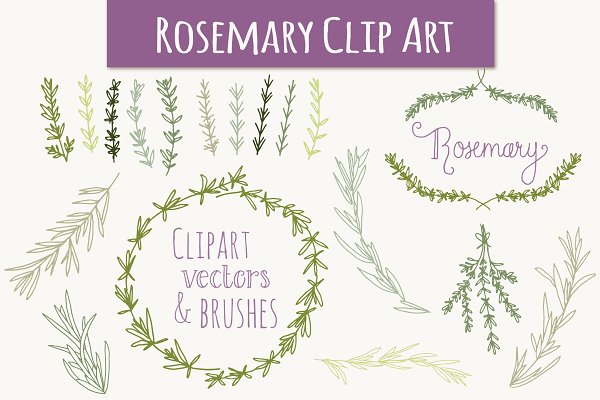 Download Rosemary Clip Art & Vectors