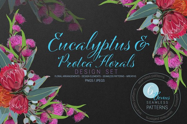 Download Eucalyptus & Protea Design Set
