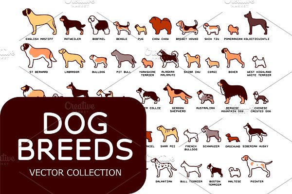 Download Dog Breeds Vector Pack