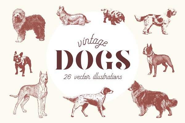 Download VINTAGE DOGS | 26 Vectors